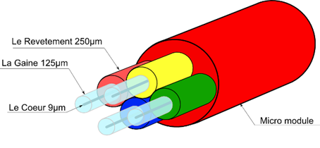Composition d'une fibre Optique. Image_Composition d'une fibre Optique.